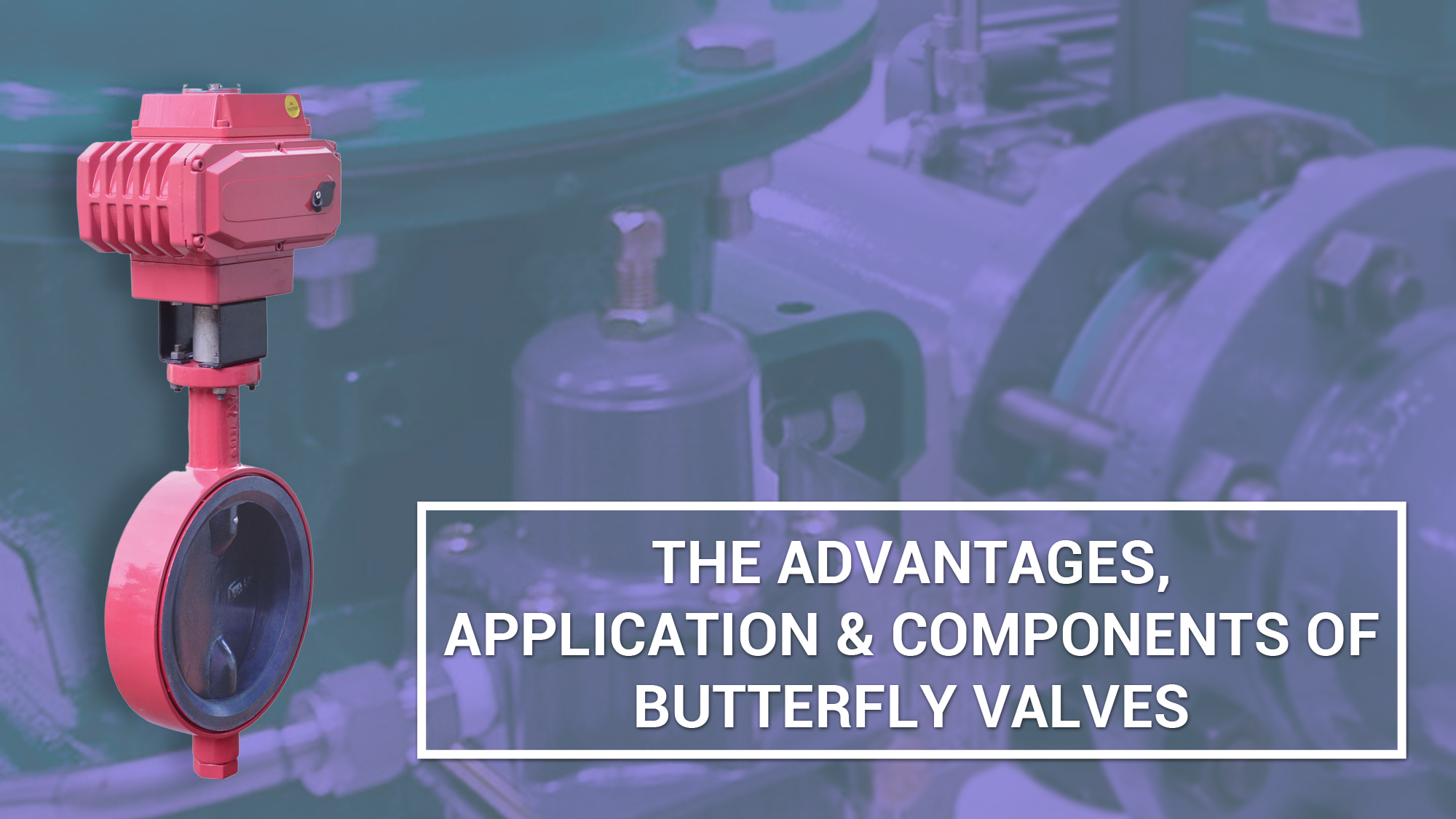 The Advantages, Application & Components of Butterfly Valves SKG